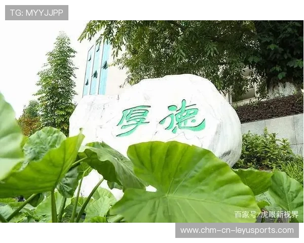 终极结语：无论世界如何变，2026年的那一抹绿，依然是我们的青春。